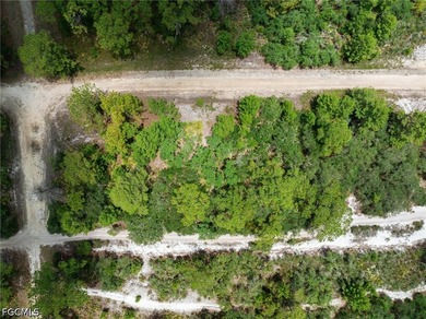 Affordable residential lot in the Leisure Lakes community of - photo 2