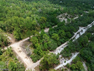 Affordable residential lot in the Leisure Lakes community of - photo 4