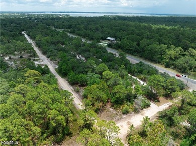 Affordable residential lot in the Leisure Lakes community of - photo 5