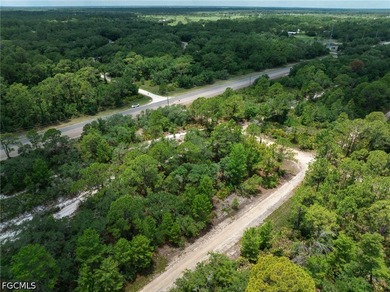 Affordable residential lot in the Leisure Lakes community of - photo 6