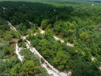 Affordable residential lot in the Leisure Lakes community of - photo 7