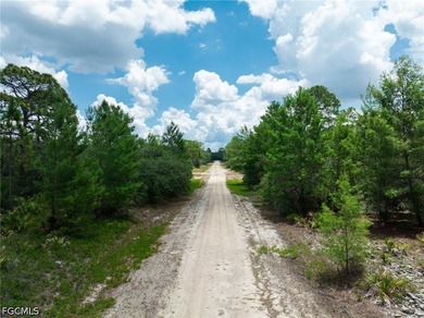 Affordable residential lot in the Leisure Lakes community of - photo 8
