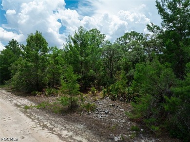 Affordable residential lot in the Leisure Lakes community of - photo 9
