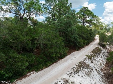 Affordable residential lot in the Leisure Lakes community of - photo 10