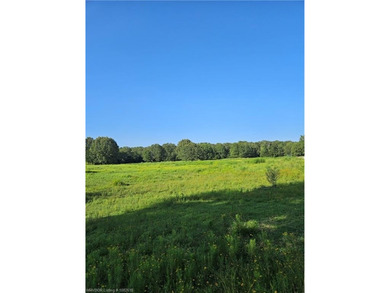 22+/- acres, Beautiful Pond, Privacy and so much more. Property - photo 11