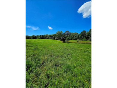 22+/- acres, Beautiful Pond, Privacy and so much more. Property - photo 13