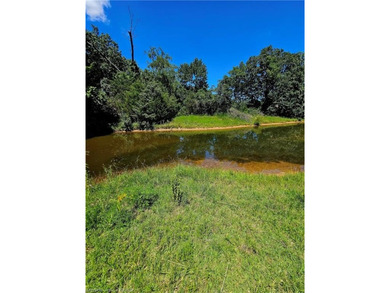 22+/- acres, Beautiful Pond, Privacy and so much more. Property - photo 15