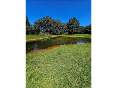 22+/- acres, Beautiful Pond, Privacy and so much more. Property - photo 16