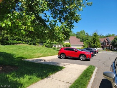 Lakeside Villas is a quiet 55+ community offering privacy and - photo 16