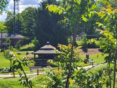 Lakeside Villas is a quiet 55+ community offering privacy and - photo 19