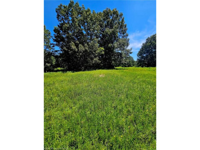 22+/- acres, Beautiful Pond, Privacy and so much more. Property - photo 20