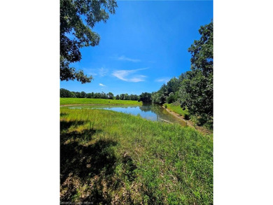 22+/- acres, Beautiful Pond, Privacy and so much more. Property - photo 21