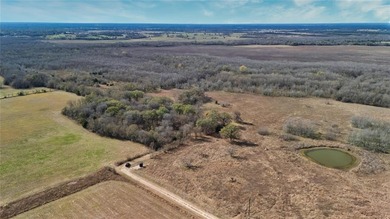 (private lake, pond, creek) Acreage For Sale in Cooper Texas