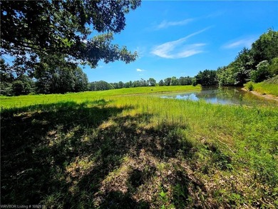 22+/- acres, Beautiful Pond, Privacy and so much more. Property - photo 22