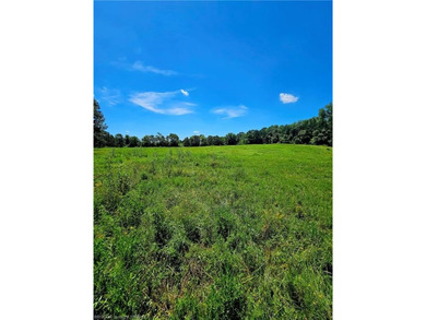 22+/- acres, Beautiful Pond, Privacy and so much more. Property - photo 24