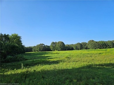 22+/- acres, Beautiful Pond, Privacy and so much more. Property - photo 25
