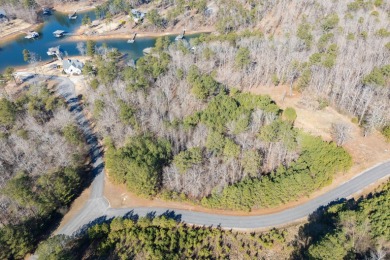 Desirable beautiful wooded level lot(2 acres) w/343' of water - photo 4