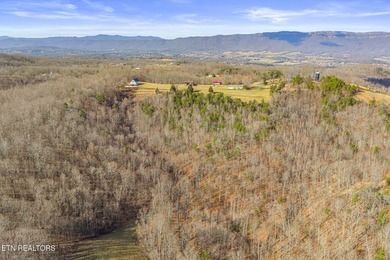 Located on top of a mountain in LaFollette, TN in close - photo 3