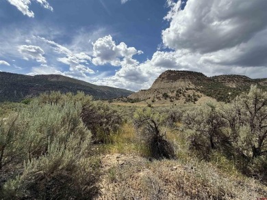 Lake Lot For Sale in Mancos, Colorado