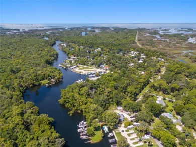 Serene setting in the heart of the Nature Coast of Florida!  5 - photo 11