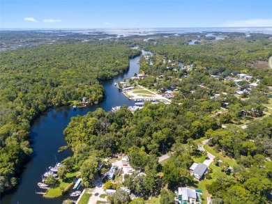 Serene setting in the heart of the Nature Coast of Florida!  5 - photo 12