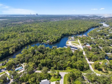 Serene setting in the heart of the Nature Coast of Florida!  5 - photo 13