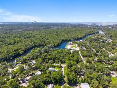Serene setting in the heart of the Nature Coast of Florida!  5 - photo 14