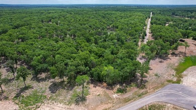 Beautiful elevated 2.09-acre lot with great water views and a - photo 16