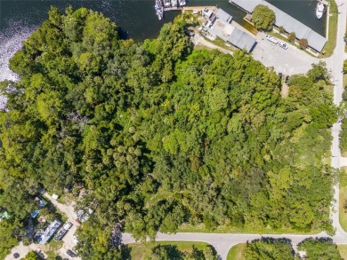 Serene setting in the heart of the Nature Coast of Florida!  5 - photo 16