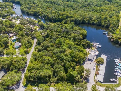 Serene setting in the heart of the Nature Coast of Florida!  5 - photo 17