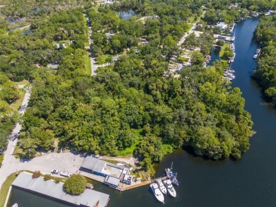 Serene setting in the heart of the Nature Coast of Florida!  5 - photo 18