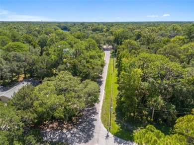 Serene setting in the heart of the Nature Coast of Florida!  5 - photo 19