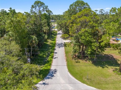 Serene setting in the heart of the Nature Coast of Florida!  5 - photo 20