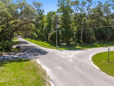 Serene setting in the heart of the Nature Coast of Florida!  5 - photo 21