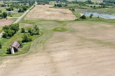 (private lake, pond, creek) Acreage For Sale in Barryton Michigan