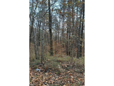 Beautiful water access lots on Smith Lake in Hidden Falls - photo 1