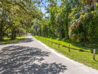 Serene setting in the heart of the Nature Coast of Florida!  5 - photo 22