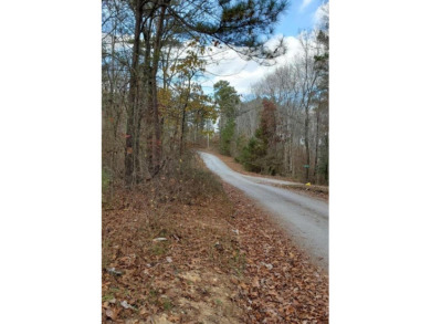 Beautiful water access lots on Smith Lake in Hidden Falls - photo 2
