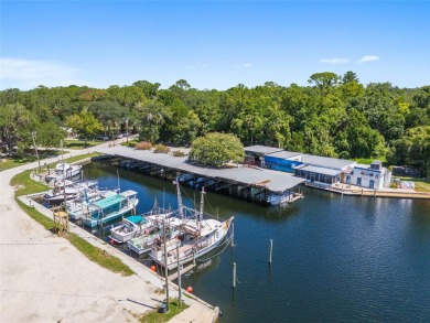 Serene setting in the heart of the Nature Coast of Florida!  5 - photo 24