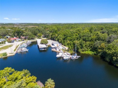 Serene setting in the heart of the Nature Coast of Florida!  5 - photo 25