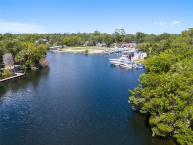 Serene setting in the heart of the Nature Coast of Florida!  5 - photo 26