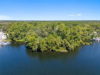 Serene setting in the heart of the Nature Coast of Florida!  5 - photo 27