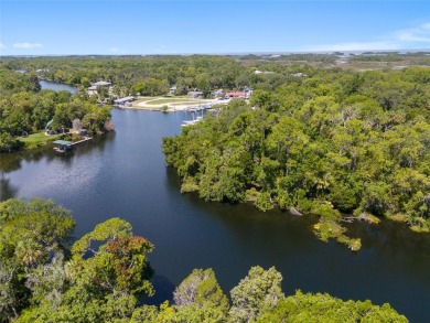 Serene setting in the heart of the Nature Coast of Florida!  5 - photo 28