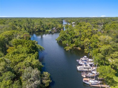 Serene setting in the heart of the Nature Coast of Florida!  5 - photo 29