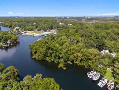 Serene setting in the heart of the Nature Coast of Florida!  5 - photo 30