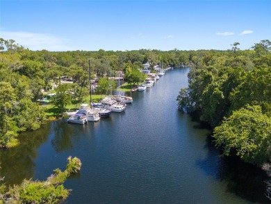 Serene setting in the heart of the Nature Coast of Florida!  5 - photo 31