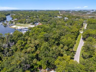 Serene setting in the heart of the Nature Coast of Florida!  5 - photo 32