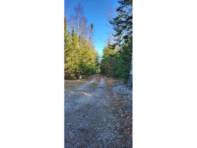 # bedroom 2 Bath Ranch set on 3 wooded acresPrivate road for - photo 3