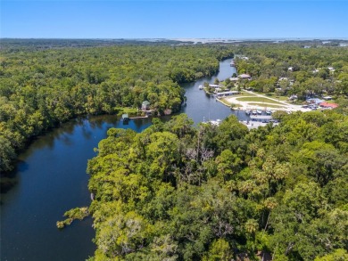 Serene setting in the heart of the Nature Coast of Florida!  5 - photo 33