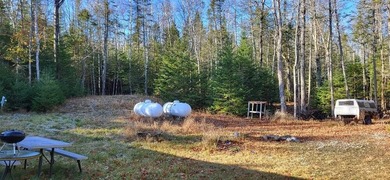 # bedroom 2 Bath Ranch set on 3 wooded acresPrivate road for - photo 4